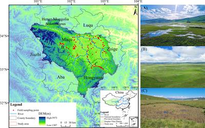 Changes and driving forces analysis of alpine wetlands in the first meander of the Yellow River based on long-term time series remote sensing data